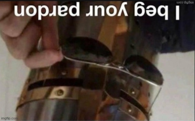 Knight: I beg your pardon | image tagged in knight i beg your pardon | made w/ Imgflip meme maker