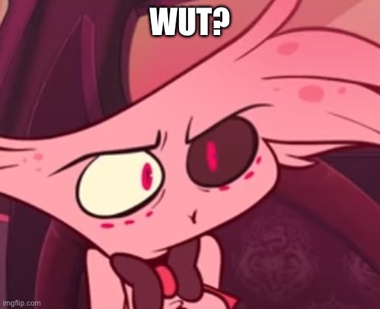 What | WUT? | image tagged in what | made w/ Imgflip meme maker