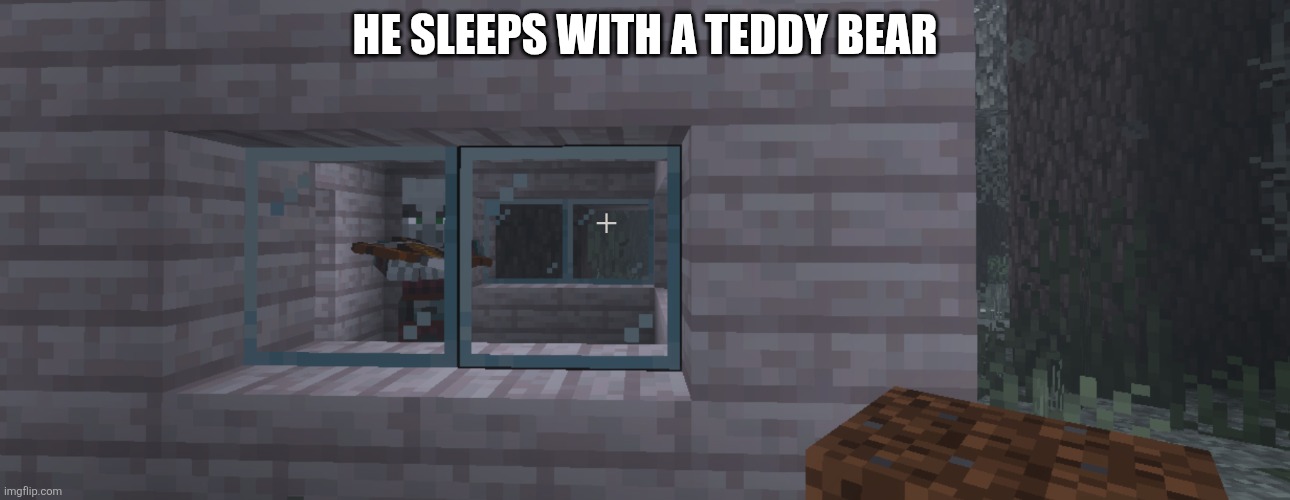 Pillager | HE SLEEPS WITH A TEDDY BEAR | image tagged in pillager | made w/ Imgflip meme maker