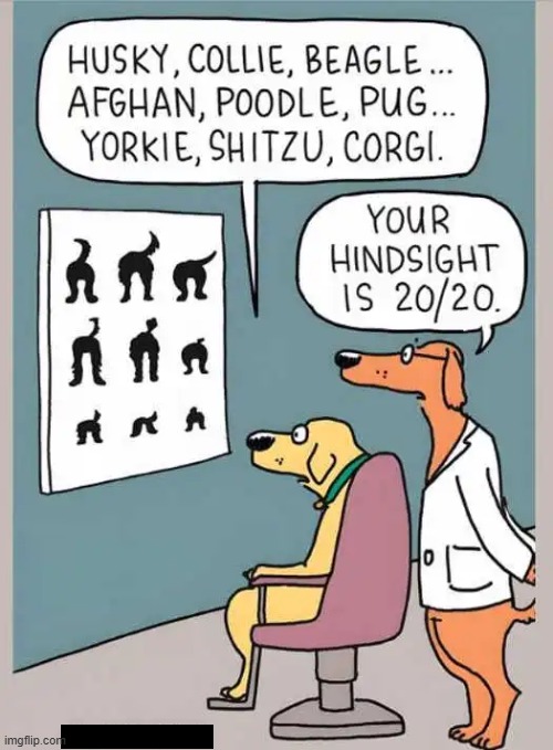 Arf, Arf | image tagged in dogs,funny memes,captain hindsight,lol | made w/ Imgflip meme maker