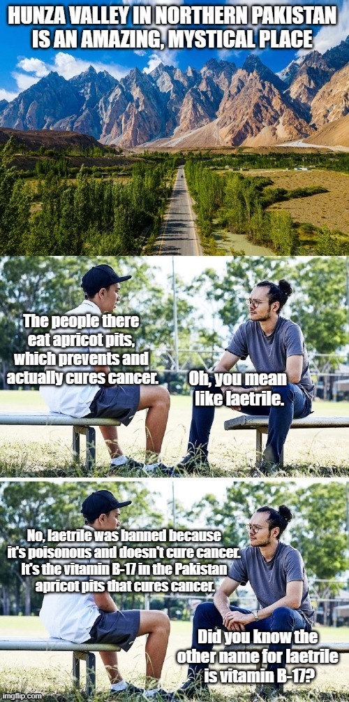No, laetrile was banned because 
it's poisonous and doesn't cure cancer. 
It's the vitamin B-17 in the Pakistan 
apricot pits that cures cancer. Did you know the 
other name for laetrile 
is vitamin B-17? | image tagged in pakistan | made w/ Imgflip meme maker