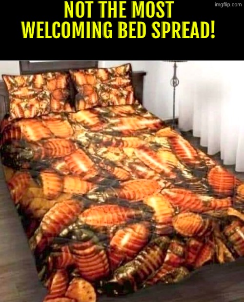 Cockroach Bed Spread | NOT THE MOST WELCOMING BED SPREAD! | image tagged in cursed images,bed,cockroaches,what a terrible day to have eyes,oh hell no,dude wtf | made w/ Imgflip meme maker