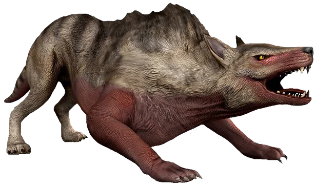 Aenocyonyx Blank Meme Template