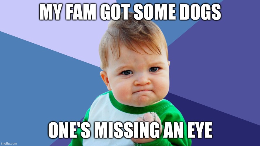 true story | MY FAM GOT SOME DOGS; ONE'S MISSING AN EYE | image tagged in yes kid | made w/ Imgflip meme maker
