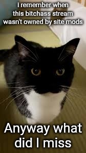 uni | i remember when this bitchass stream wasn't owned by site mods; Anyway what did I miss | image tagged in uni | made w/ Imgflip meme maker