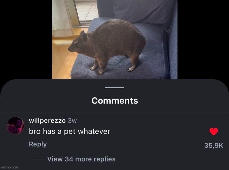 what even is that | made w/ Imgflip meme maker