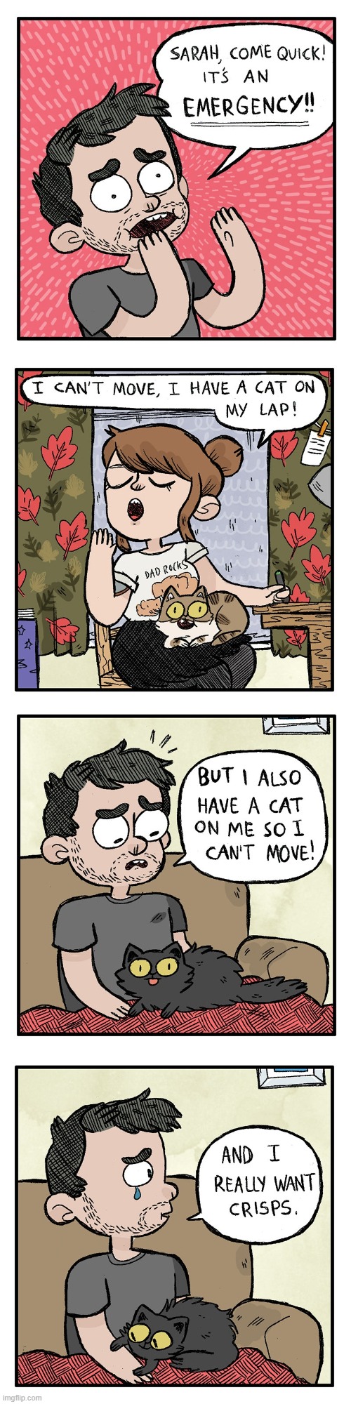 image tagged in emergency,cat,cats,lap,crisps,chips | made w/ Imgflip meme maker