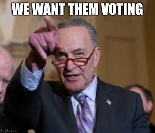 Schmuck Shumer | WE WANT THEM VOTING | image tagged in schmuck shumer | made w/ Imgflip meme maker
