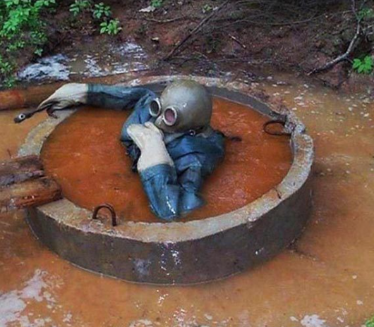 dive into shit Blank Meme Template