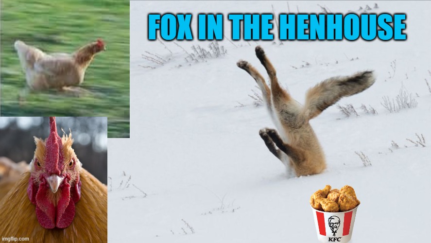 Fox head in snow | FOX IN THE HENHOUSE | image tagged in fox head in snow | made w/ Imgflip meme maker