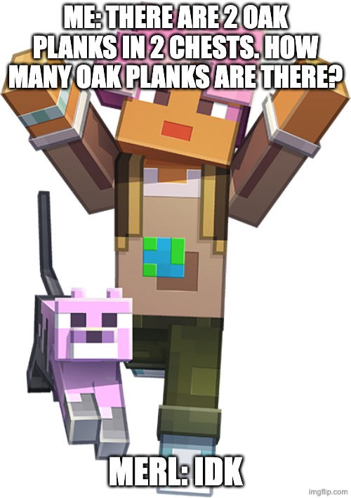 merl: idk | ME: THERE ARE 2 OAK PLANKS IN 2 CHESTS. HOW MANY OAK PLANKS ARE THERE? MERL: IDK | image tagged in merl minecraft ai chatbot | made w/ Imgflip meme maker