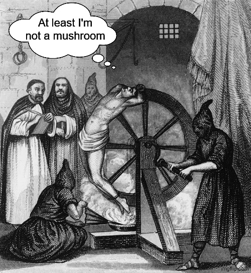 Torture Rack Wheel | At least I'm not a mushroom | image tagged in torture rack wheel | made w/ Imgflip meme maker