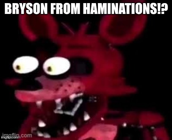 BRYSON FROM HAMINATIONS!? | made w/ Imgflip meme maker