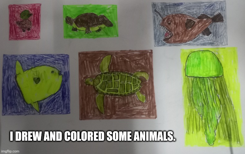 I DREW AND COLORED SOME ANIMALS. | image tagged in memes,draw,animals | made w/ Imgflip meme maker