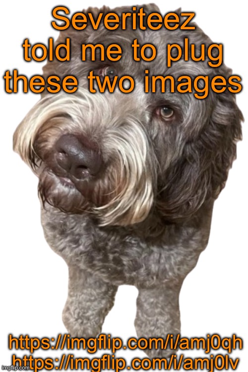 Northers Dog (Transparent) | Severiteez told me to plug these two images; https://imgflip.com/i/amj0qh
https://imgflip.com/i/amj0lv | image tagged in northers dog transparent | made w/ Imgflip meme maker