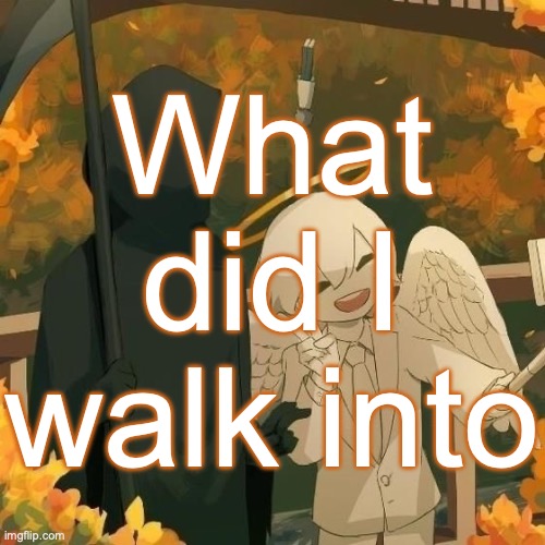 what happened | What did I walk into | image tagged in avogado6 | made w/ Imgflip meme maker