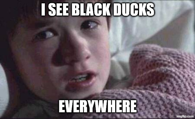 I See Dead People Meme | I SEE BLACK DUCKS EVERYWHERE | image tagged in memes,i see dead people | made w/ Imgflip meme maker