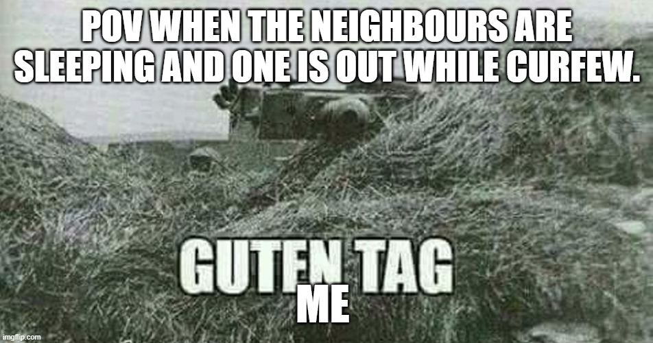 German guten tag tiger | POV WHEN THE NEIGHBOURS ARE SLEEPING AND ONE IS OUT WHILE CURFEW. ME | image tagged in german guten tag tiger | made w/ Imgflip meme maker