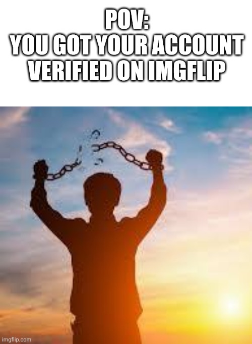 IM FREE | POV:
YOU GOT YOUR ACCOUNT VERIFIED ON IMGFLIP | image tagged in im free | made w/ Imgflip meme maker