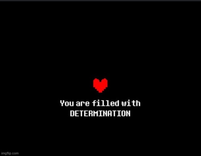 Determination | image tagged in determination | made w/ Imgflip meme maker