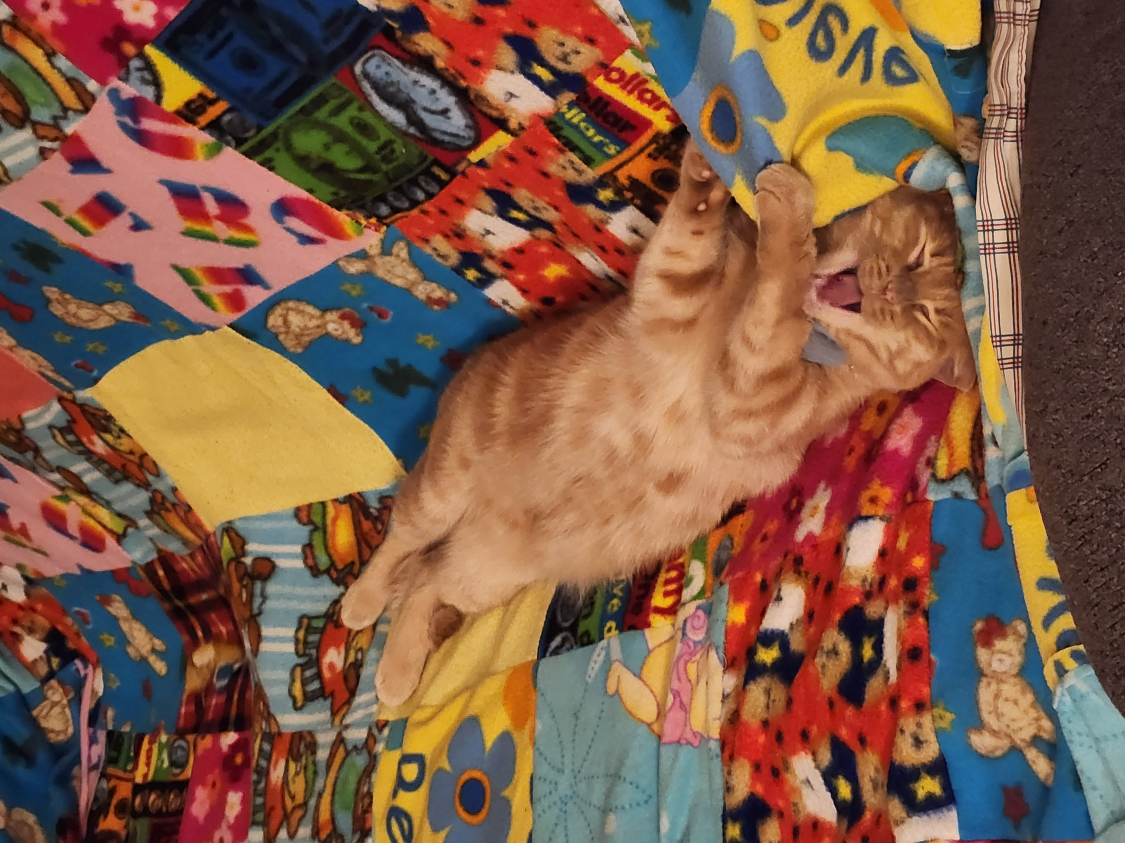 Louie Blank Meme Template