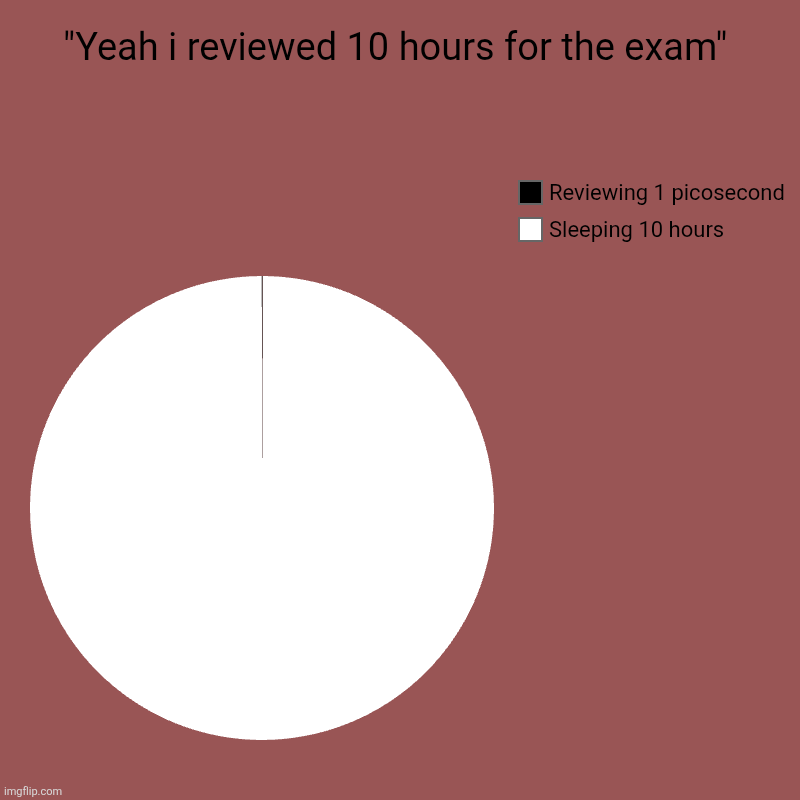 "Yeah i reviewed 10 hours for the exam" | Sleeping 10 hours, Reviewing 1 picosecond | image tagged in charts,pie charts | made w/ Imgflip chart maker
