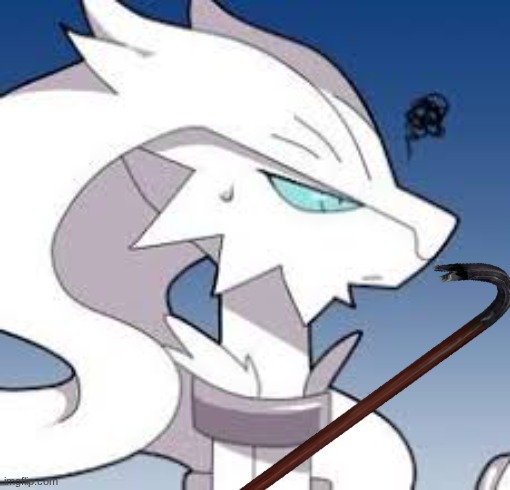 grumpy reshiram | image tagged in grumpy reshiram | made w/ Imgflip meme maker