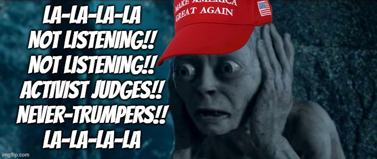 I can't hear you | LA-LA-LA-LA
NOT LISTENING!!
NOT LISTENING!!
ACTIVIST JUDGES!!
NEVER-TRUMPERS!!
LA-LA-LA-LA | image tagged in i can't hear you | made w/ Imgflip meme maker