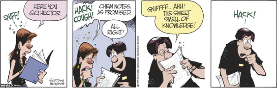 Zits | image tagged in comics | made w/ Imgflip meme maker