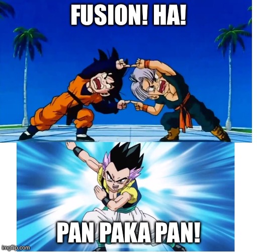 Fusion | FUSION! HA! PAN PAKA PAN! | image tagged in fusion | made w/ Imgflip meme maker