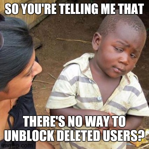 Third World Skeptical Kid | SO YOU'RE TELLING ME THAT; THERE'S NO WAY TO UNBLOCK DELETED USERS? | image tagged in memes,third world skeptical kid | made w/ Imgflip meme maker
