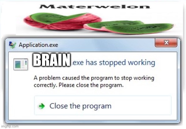 .exe has stopped responding | BRAIN | image tagged in exe has stopped responding | made w/ Imgflip meme maker