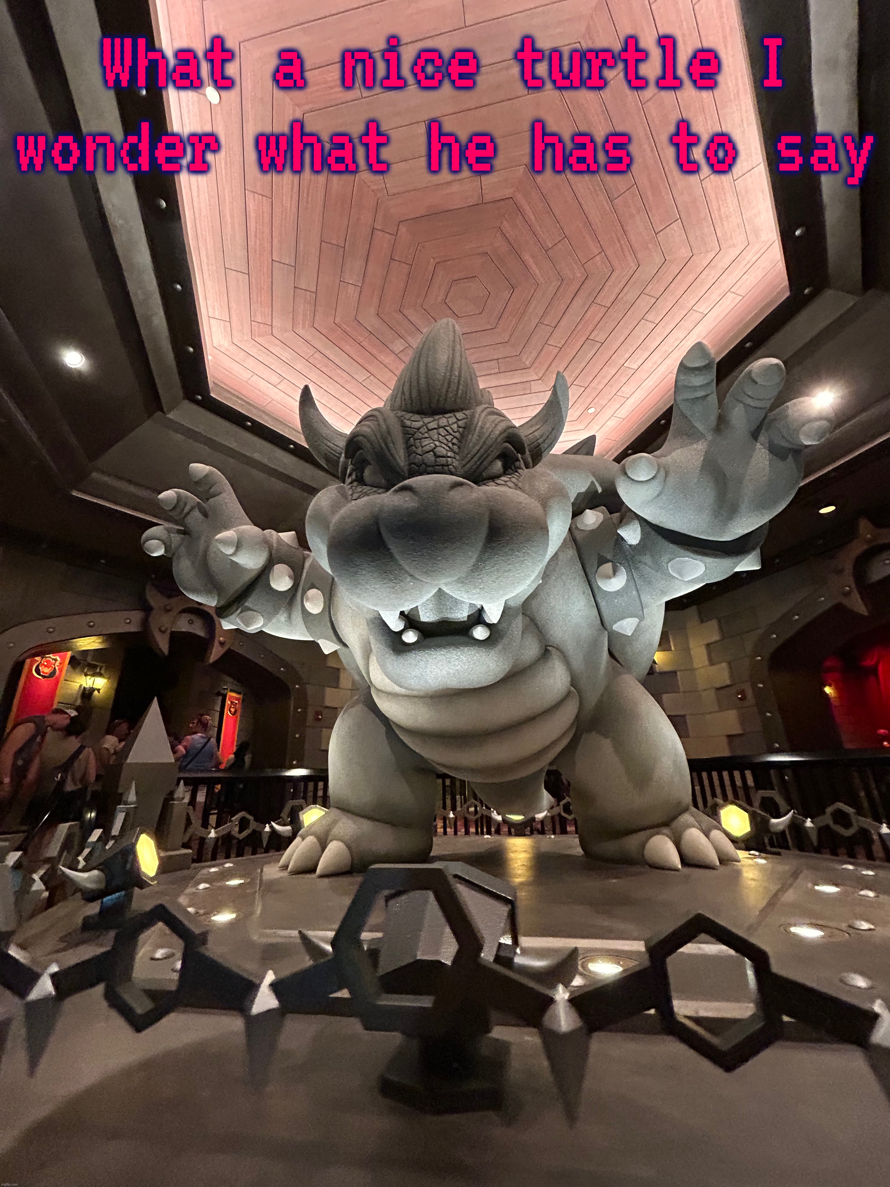 What a nice turtle I wonder what he has to say | made w/ Imgflip meme maker