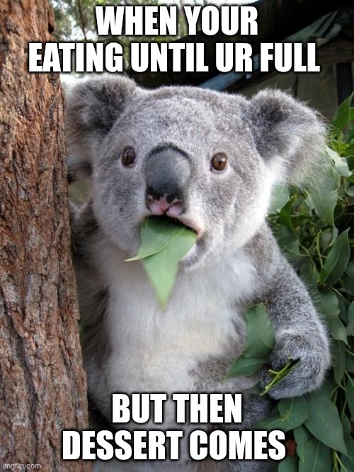 NOOOOO | WHEN YOUR EATING UNTIL UR FULL; BUT THEN DESSERT COMES | image tagged in memes,surprised koala | made w/ Imgflip meme maker