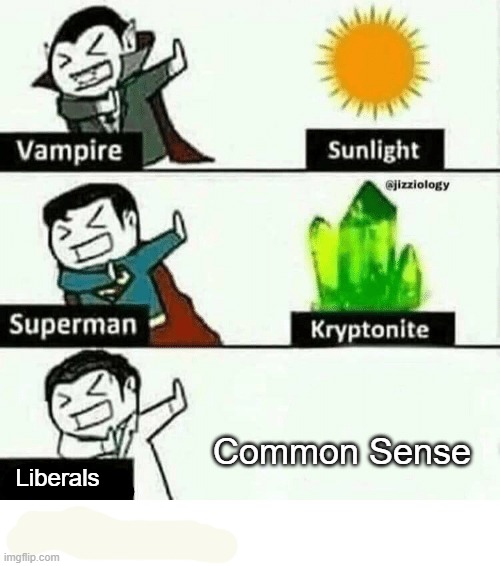 vampire superman meme | Common Sense; Liberals | image tagged in vampire superman meme,political meme,politics | made w/ Imgflip meme maker