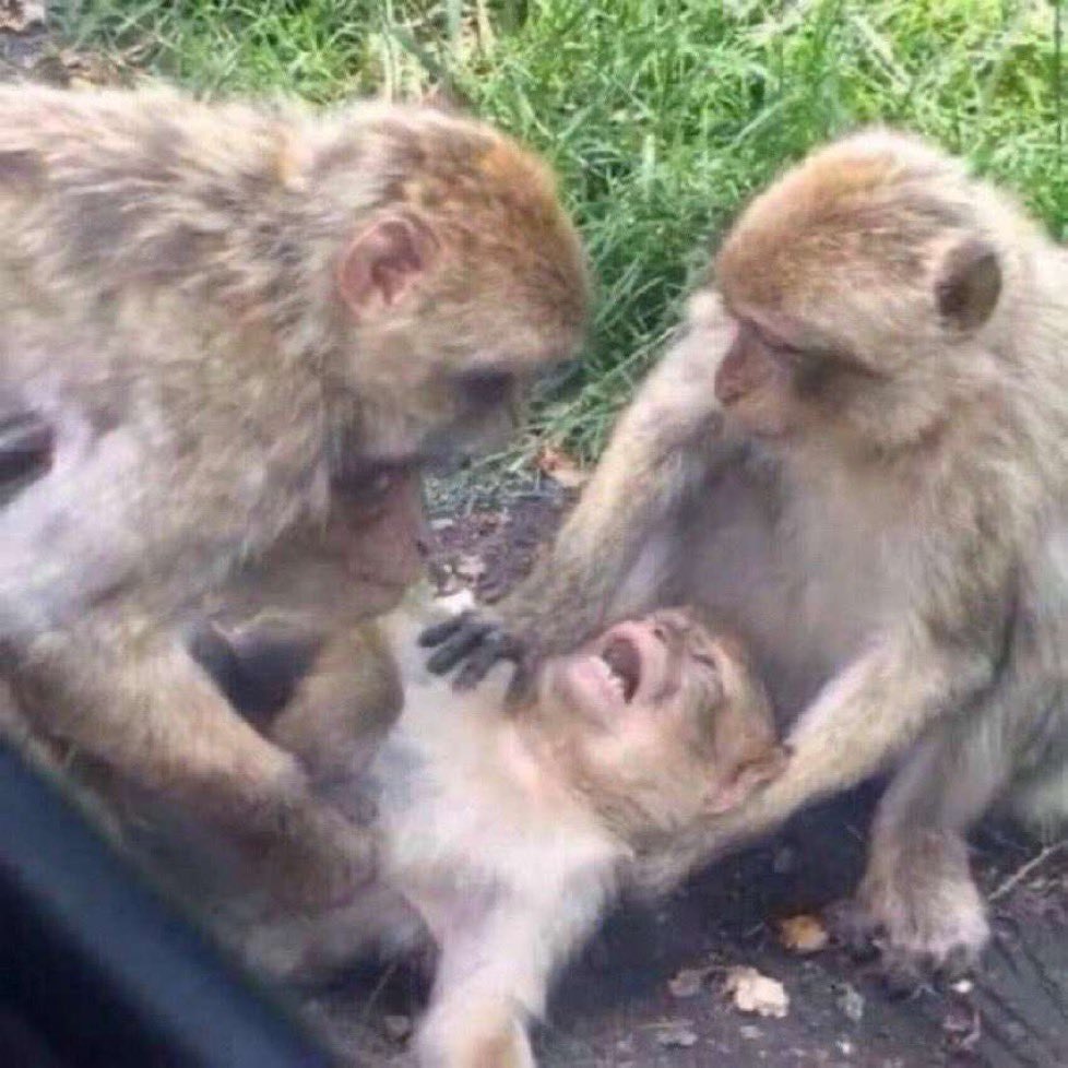 Chrisjoines1 Blank Meme Template