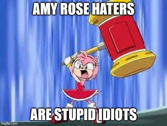 she mad | AMY ROSE HATERS; ARE STUPID IDIOTS | image tagged in angry amy rose | made w/ Imgflip meme maker