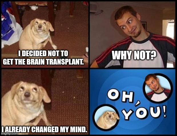 No sense in overthinking it | I DECIDED NOT TO GET THE BRAIN TRANSPLANT. WHY NOT? I ALREADY CHANGED MY MIND. | image tagged in oh you | made w/ Imgflip meme maker