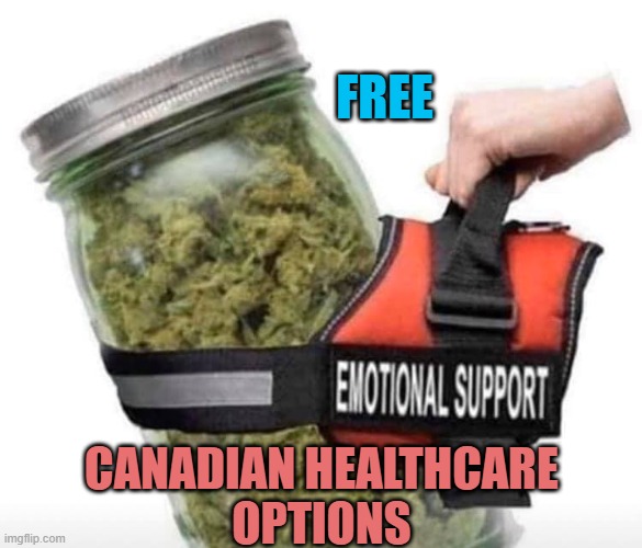 FREE CANADIAN HEALTHCARE
OPTIONS | image tagged in emotional support weed | made w/ Imgflip meme maker