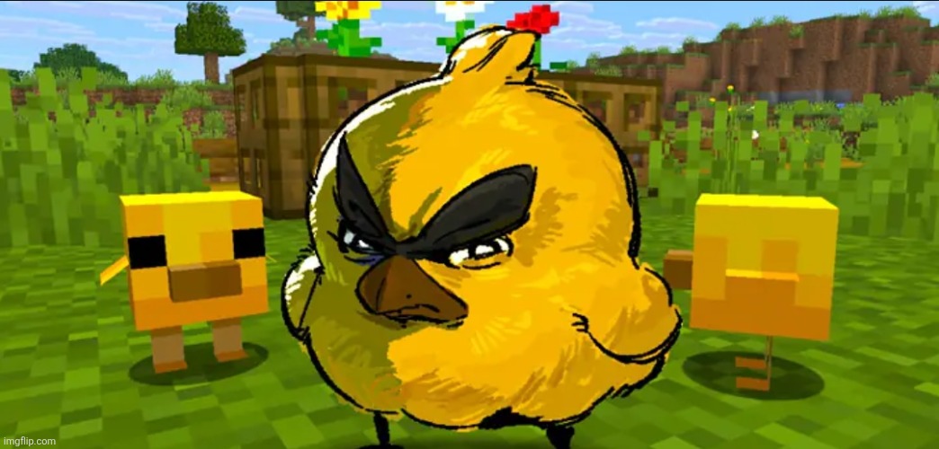 image tagged in minecraft,angry birds | made w/ Imgflip meme maker