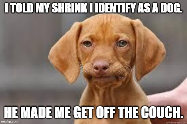 Daily Bad Dad Joke March 13, 2026 | I TOLD MY SHRINK I IDENTIFY AS A DOG. HE MADE ME GET OFF THE COUCH. | image tagged in disappointed dog | made w/ Imgflip meme maker