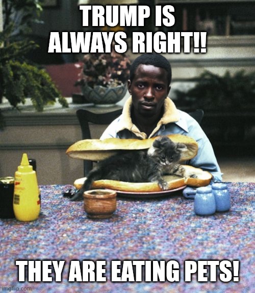 Trump was right all along | TRUMP IS ALWAYS RIGHT!! THEY ARE EATING PETS! | image tagged in trump was right all along | made w/ Imgflip meme maker