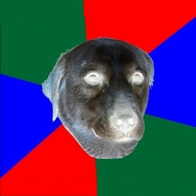 Politically intense dog Blank Meme Template