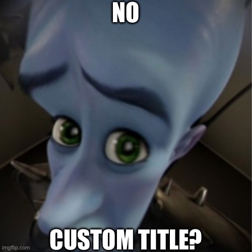 Some memes on a daily basis: | NO; CUSTOM TITLE? | image tagged in megamind peeking,custom title,memes about memes,title | made w/ Imgflip meme maker