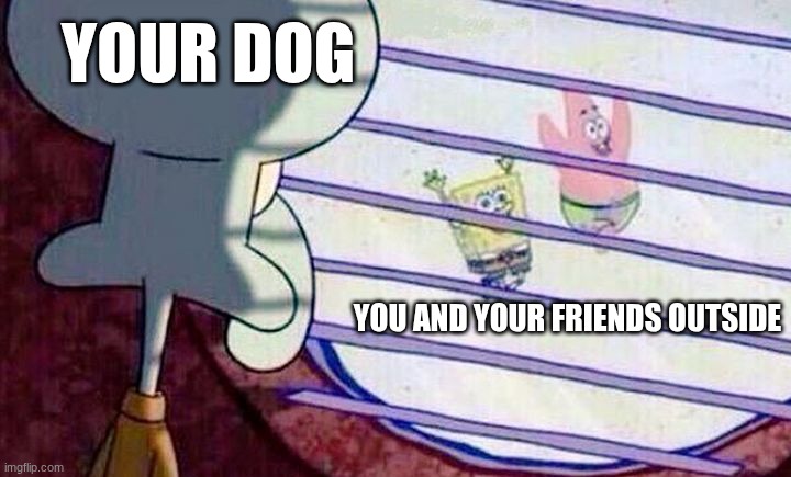 sadness of dog | YOUR DOG; YOU AND YOUR FRIENDS OUTSIDE | image tagged in sponge bob feelings | made w/ Imgflip meme maker