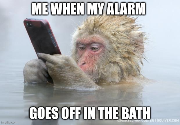 I HATE THIS NOISE | ME WHEN MY ALARM; GOES OFF IN THE BATH | image tagged in monkey mobile phone | made w/ Imgflip meme maker