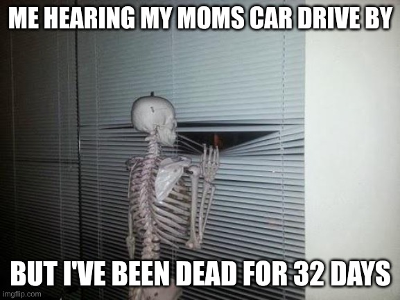 I think i'm getting picked up | ME HEARING MY MOMS CAR DRIVE BY; BUT I'VE BEEN DEAD FOR 32 DAYS | image tagged in skeleton looking out window | made w/ Imgflip meme maker