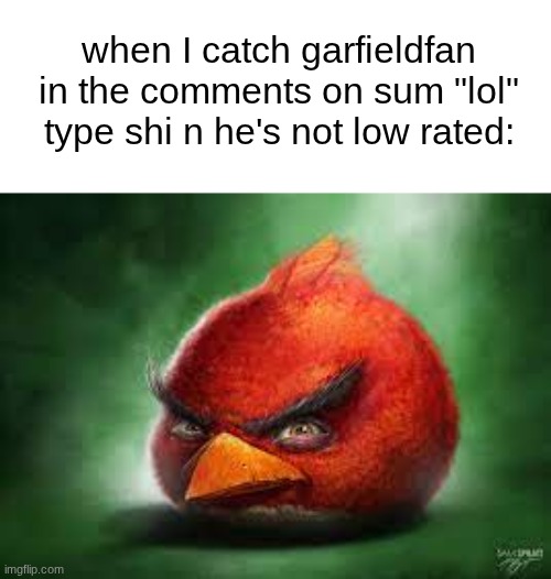 Realistic Red Angry Birds | when I catch garfieldfan in the comments on sum "lol" type shi n he's not low rated: | image tagged in realistic red angry birds | made w/ Imgflip meme maker