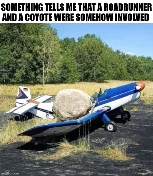 Something Tells Me | SOMETHING TELLS ME THAT A ROADRUNNER AND A COYOTE WERE SOMEHOW INVOLVED | image tagged in chrisjoines1 | made w/ Imgflip meme maker