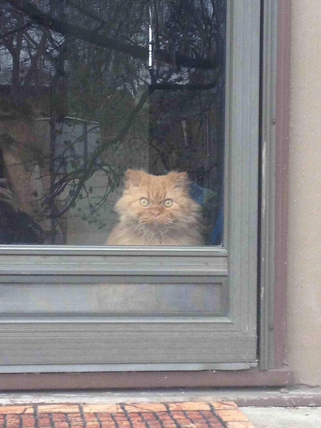 Chrisjoines1 Blank Meme Template